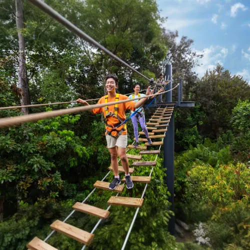 Rainforest Wild Asia