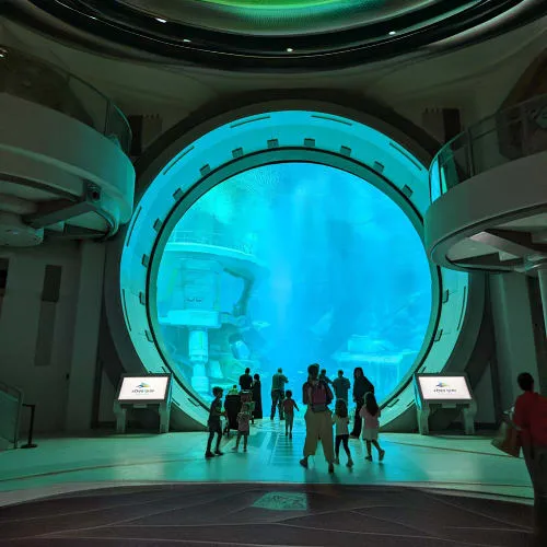 SeaWorld Abu Dhabi