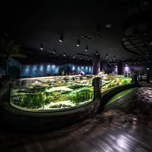 https://d1i3enf1i5tb1f.cloudfront.net/Tour-Images/Final/Singapore-Oceanarium-509472/1760773237519_S.jpg