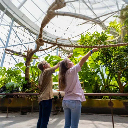 The Green Planet Dubai