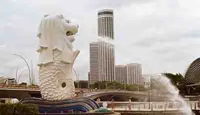 Singapore City Tour With Guide