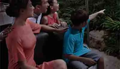 Night Safari Singapore