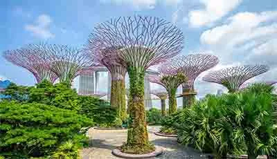 Gardens by the Bay