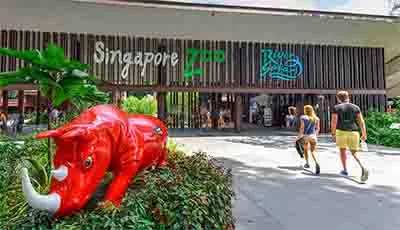 Singapore Zoo with Tram Ride
