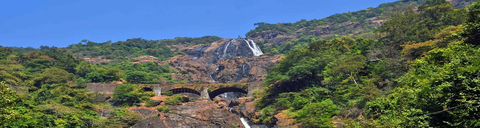 https://d1i3enf1i5tb1f.cloudfront.net/Tour-Images/false-508469/Dudhsagar-falls-website%20copy.JPG