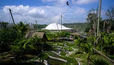 Bird Paradise Singapore