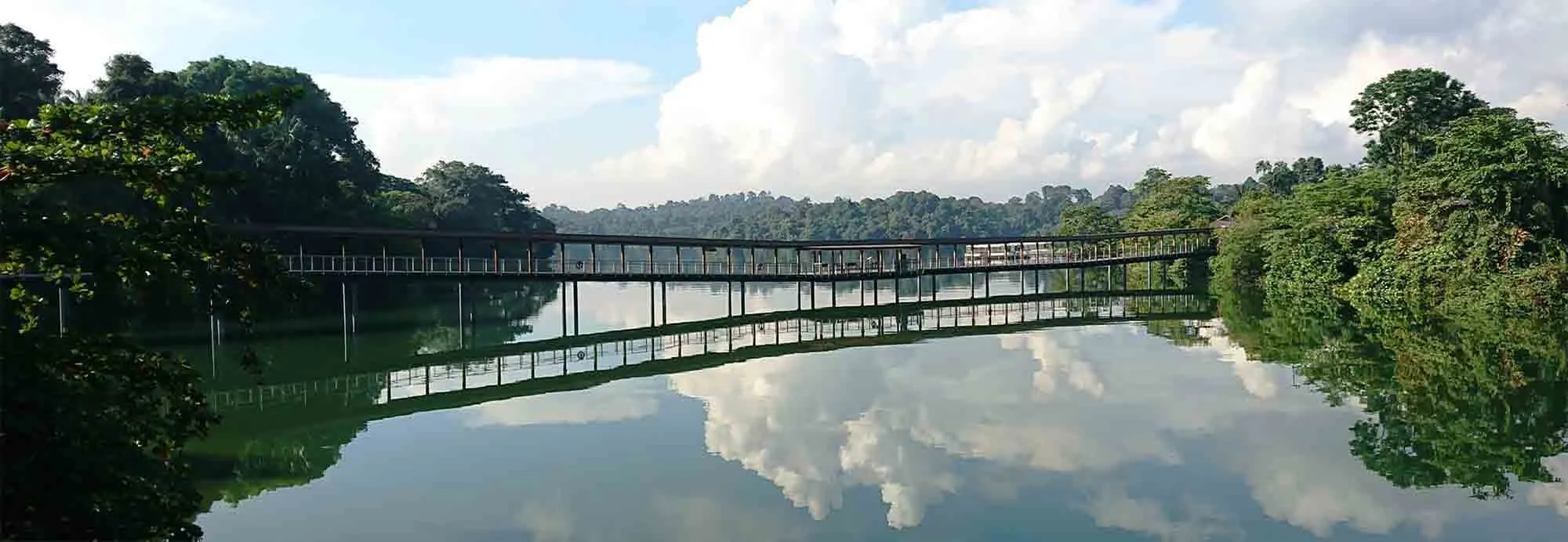 https://d1i3enf1i5tb1f.cloudfront.net/Tour-Images/false-508851/sinagpore-city-river-safari.jpg