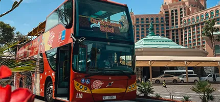 City Sightseeing Tour
