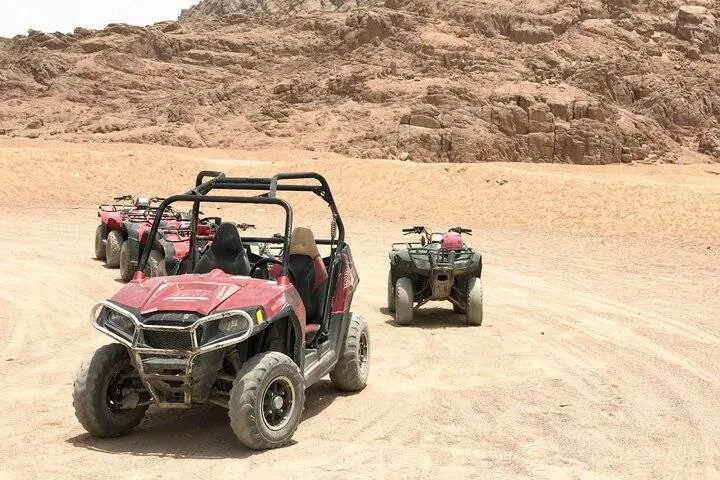 Desert Buggy Driving Experience	In Ras Al Khaimah