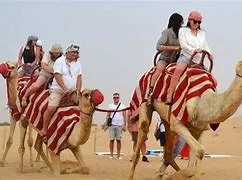 https://ur2h9smi.turpal.com/media/9aIu6zfBJCqQQh3d7tAVm9Y9YtneExydJ0Li5ALd.jpg