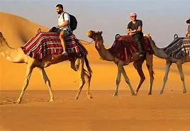 https://ur2h9smi.turpal.com/media/F3D4SO8i8jjt84t9sR6TYJpDs7940i0Adk9EcAHm.jpg